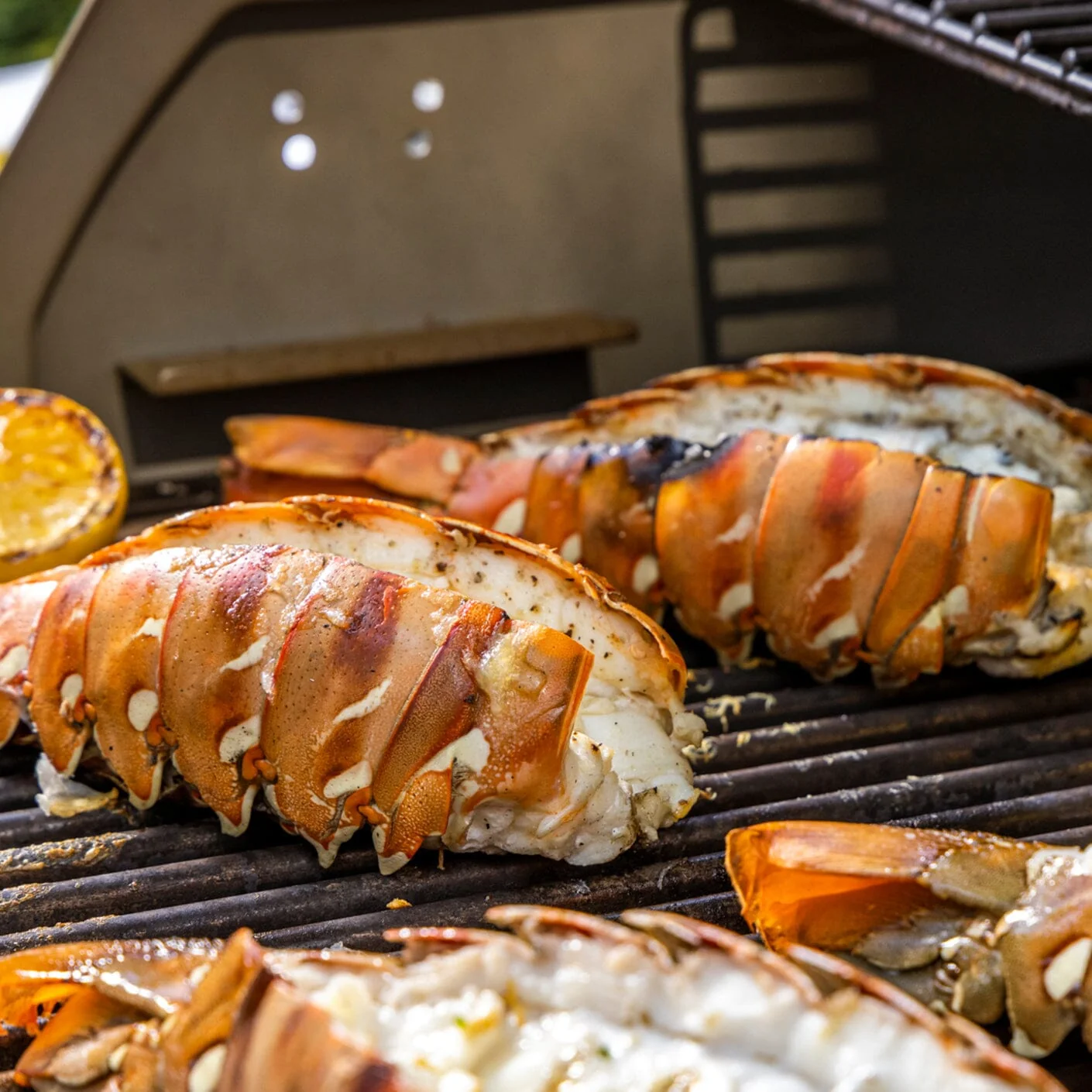 Lobster Tail - Image 5
