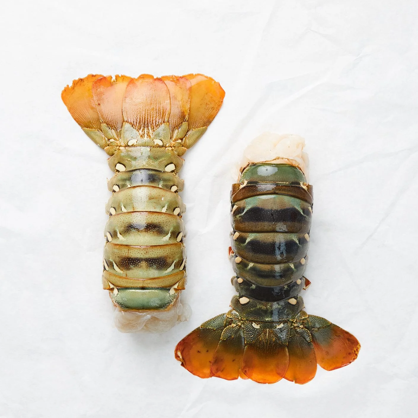 Surf and Turf - Image 3